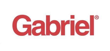 logo-gabriel-chevro-ford